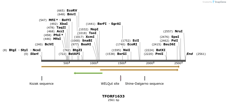 285015_map