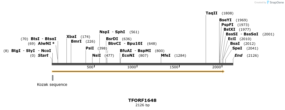 285018_map