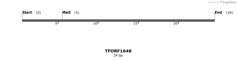 285019_map