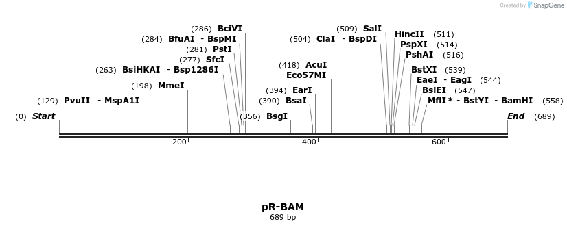 28502_map