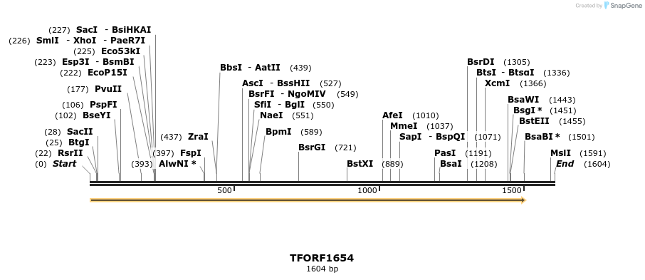 285021_map