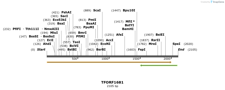 285024_map
