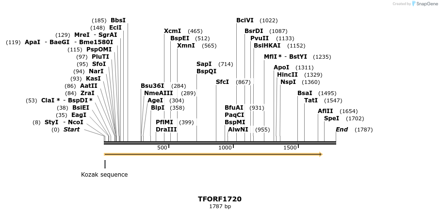 285027_map