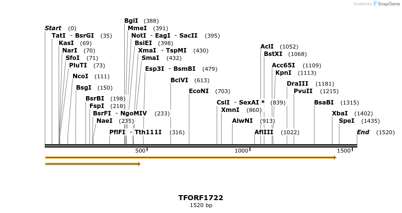 285030_map