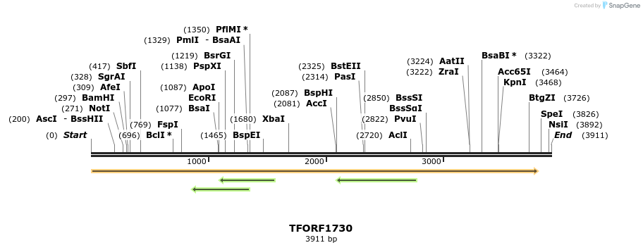 285033_map