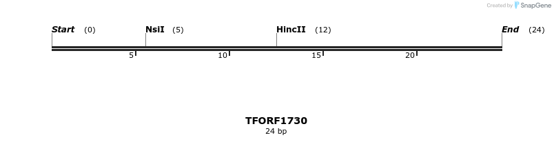 285034_map