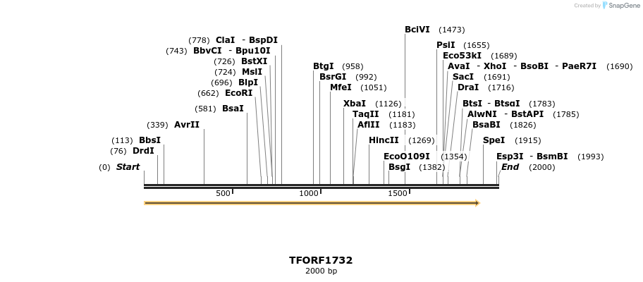 285036_map
