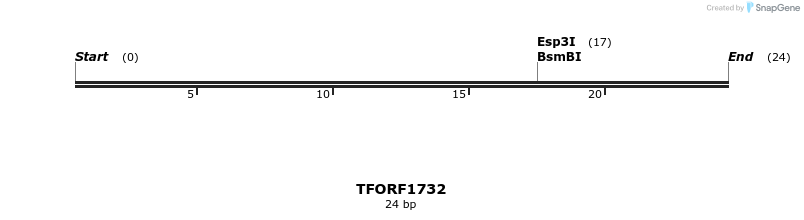 285037_map