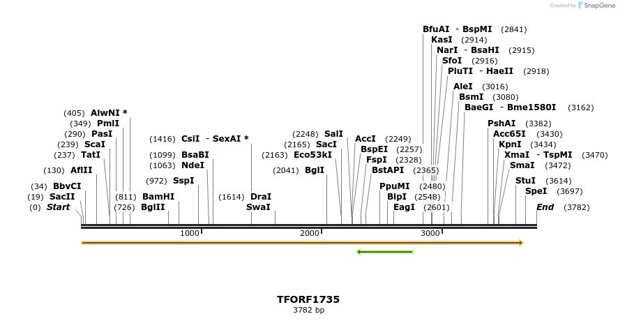285039_map