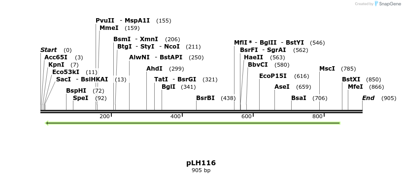 28504_map