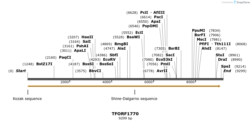 285042_map