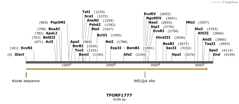 285045_map