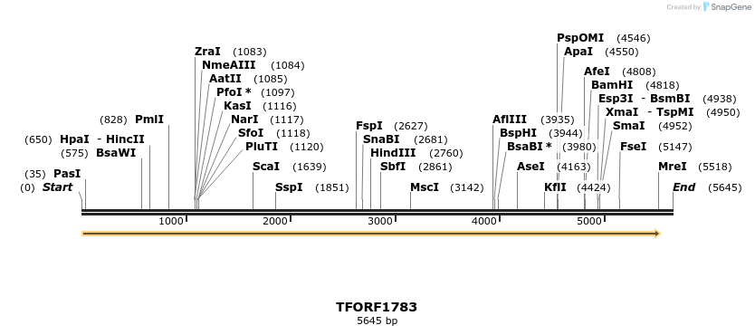 285048_map