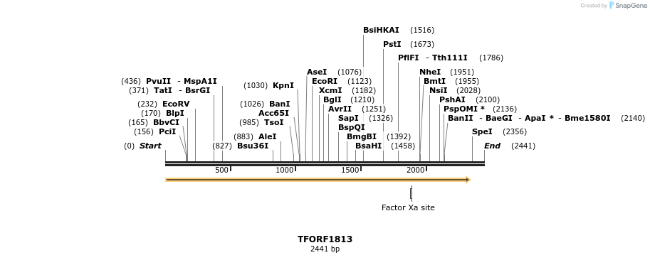 285051_map