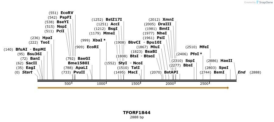 285054_map