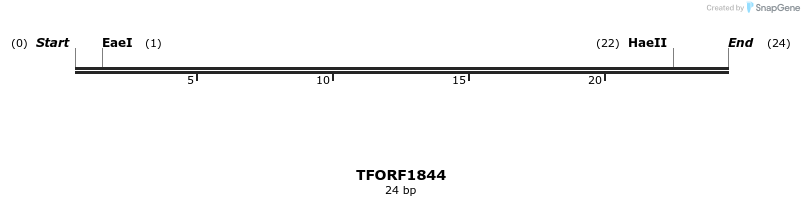 285055_map