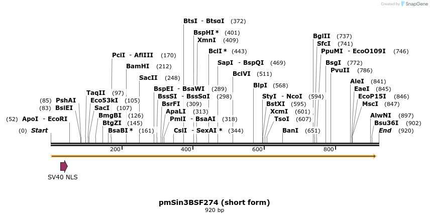 28506_map