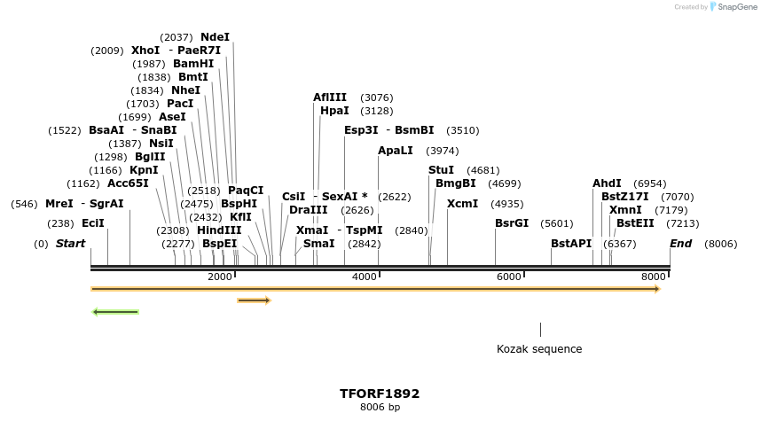 285060_map