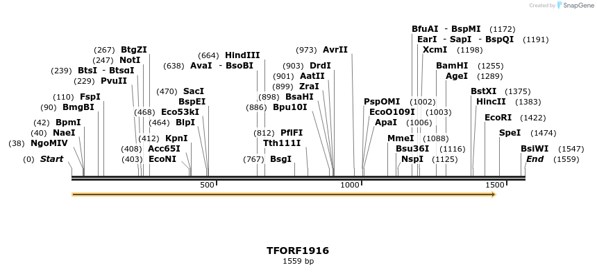 285066_map