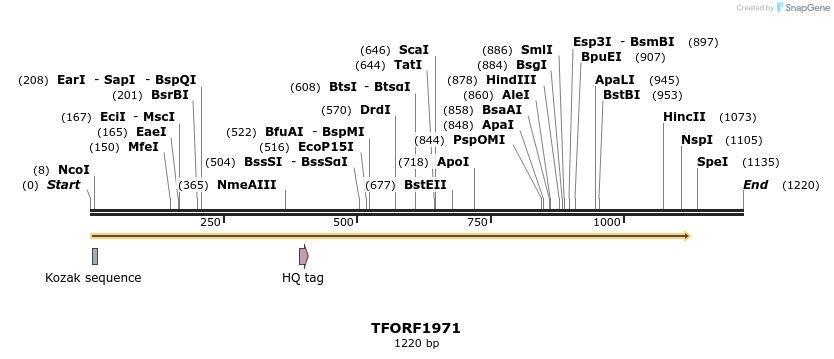 285069_map