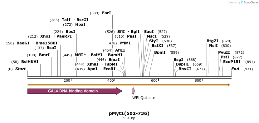28507_map