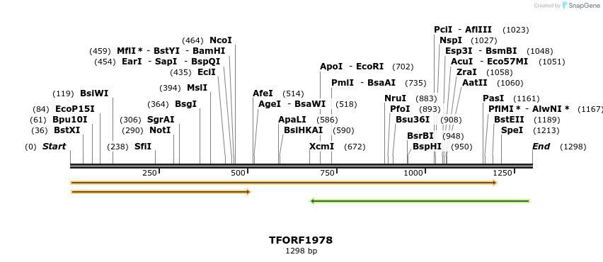 285072_map