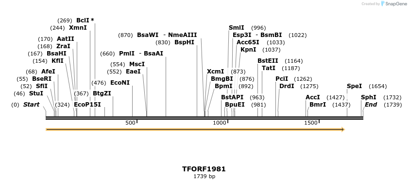 285075_map