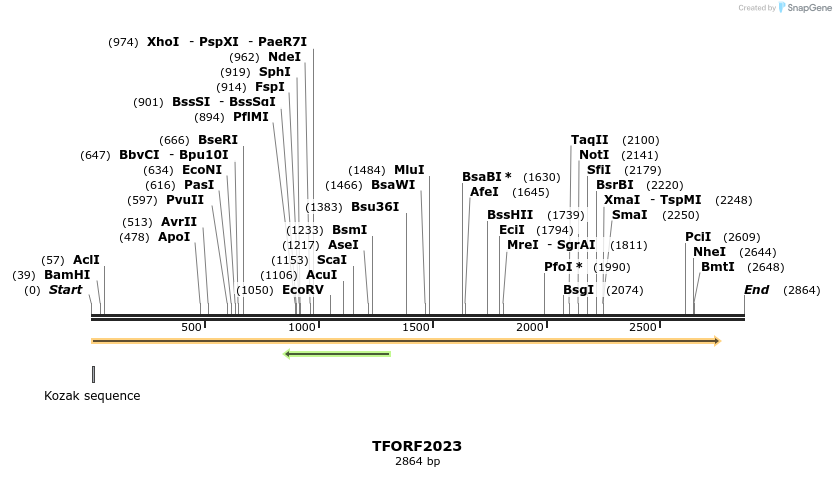 285084_map