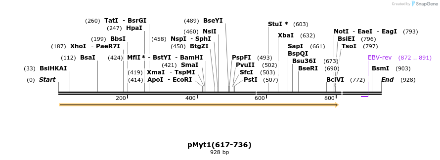 28509_map