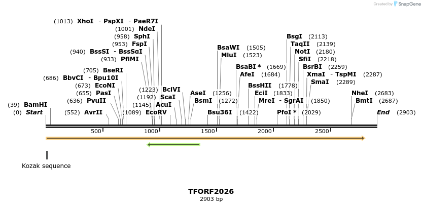 285093_map