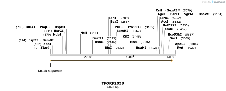 285096_map