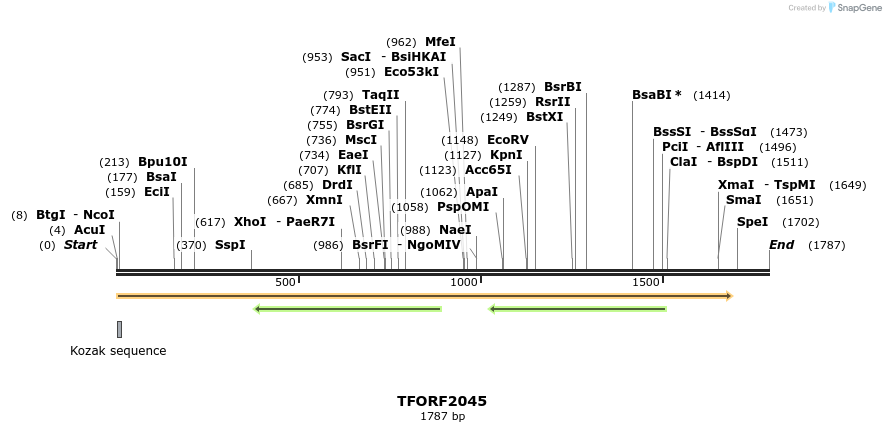 285099_map