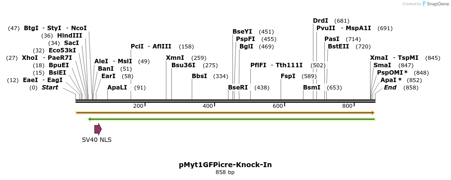 28510_map