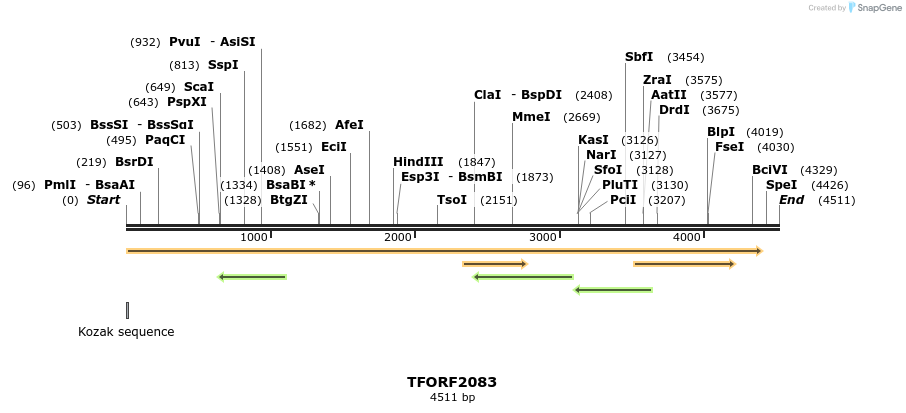 285102_map