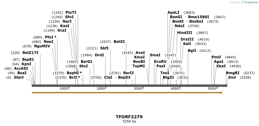 285108_map