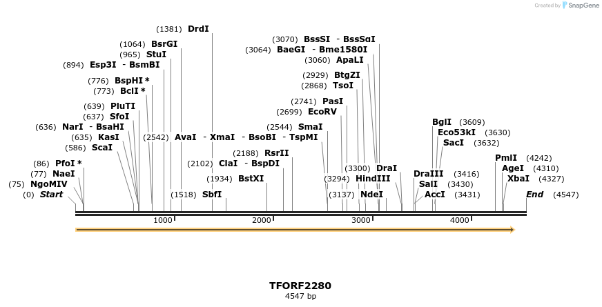 285111_map