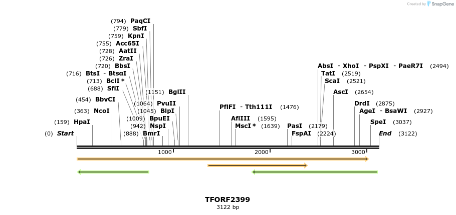 285117_map
