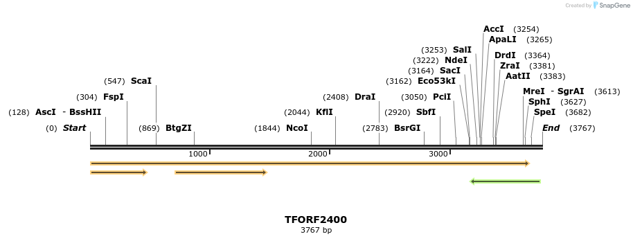 285120_map