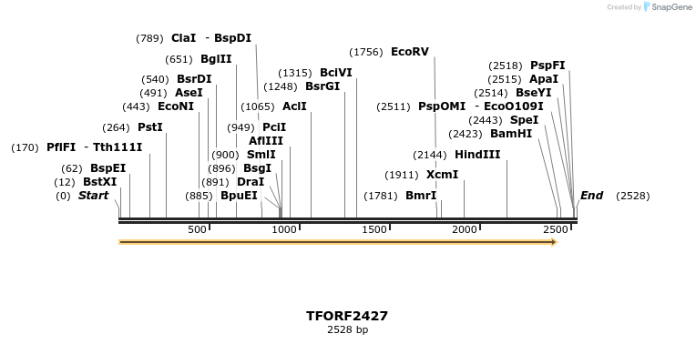 285123_map