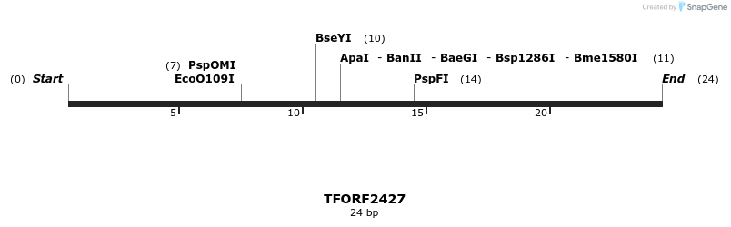 285124_map