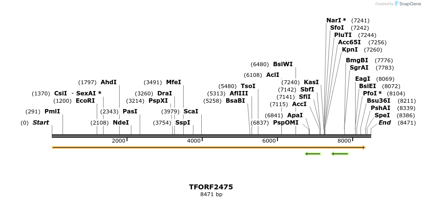 285126_map