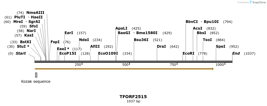 285129_map