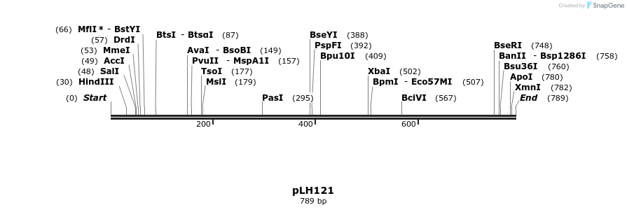 28513_map