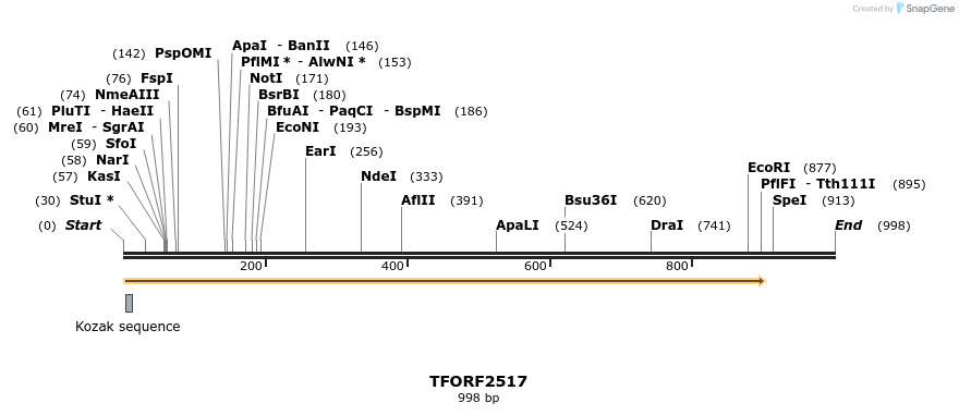 285132_map
