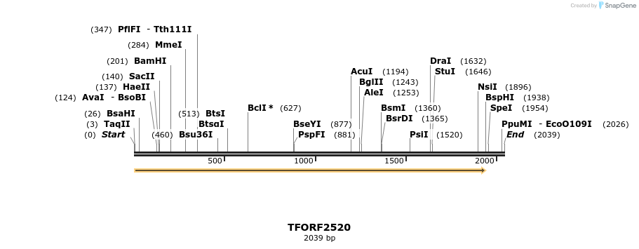 285135_map