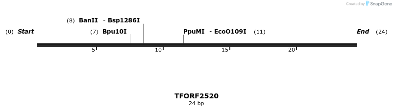 285136_map
