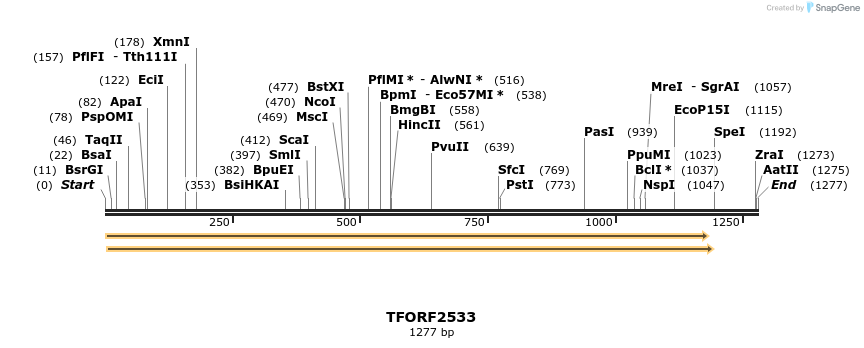 285138_map