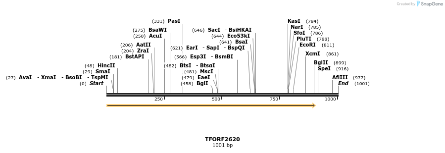285147_map