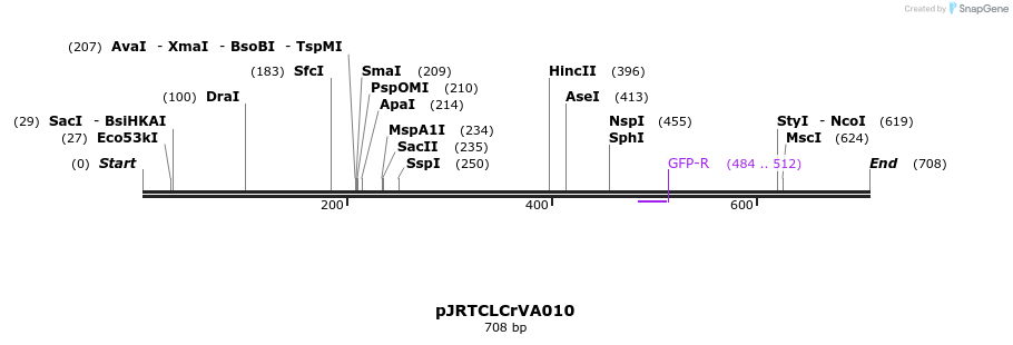 28515_map