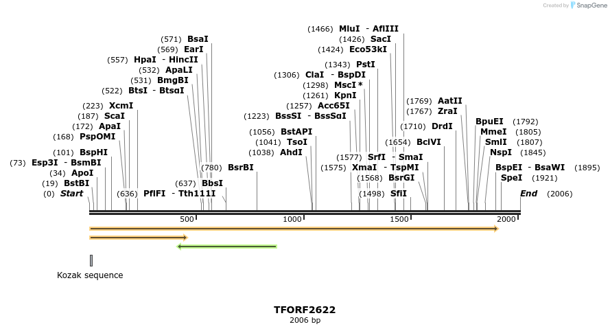 285150_map